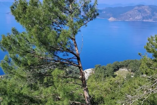 lycian way hike tour from fethiye