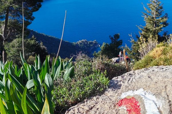 4.Gün  Alınca -Yedi Burunlar-Ge Köyü 7 km